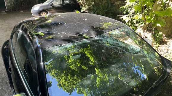 Volkswagen'in parça krizi: 2015 model Coccinelle tam 9 ay bekledi