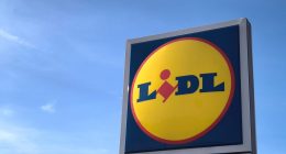 Lidl'in Almanya'da Elektrikli Araç Filosunu Askıya Alma Nedeni