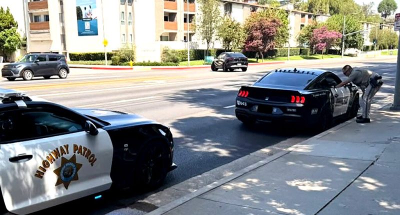 Transformers temalı Mustang, gerçek polis aracına yakalandı