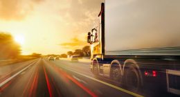 Alçak su seviyesi nedeniyle Lkw-Fahrverbot yani kamyon yasakları kalkabilir mi?
