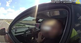 Tesla Autopilot - Tesla Sürücüsünden Şaşırtan Savunma: Aracı Ben Değil Autopilot Kullanıyordu!
