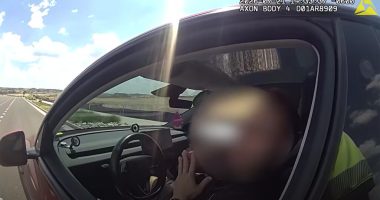 Tesla Autopilot - Tesla Sürücüsünden Şaşırtan Savunma: Aracı Ben Değil Autopilot Kullanıyordu!