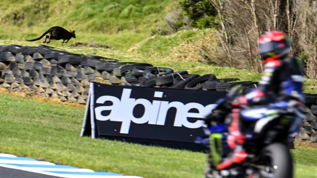 2026 Australian MotoGP: Phillip Island'a Veda ve Yarış Rehberi